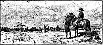 Copertina di Il Reverendo